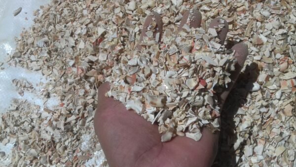 dried crab shell flake